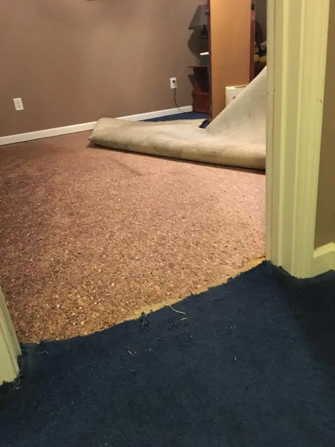 Carpet pad removal revealing water damage during Water Mitigation Services in Mabank
