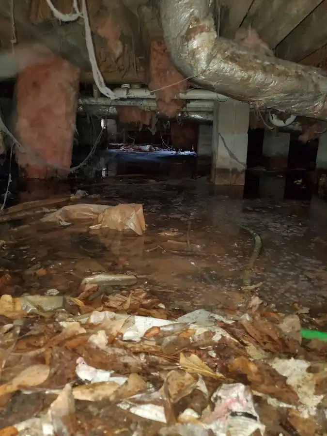 Crawl space flood assessment for Leak Detection & Repair in Mabank